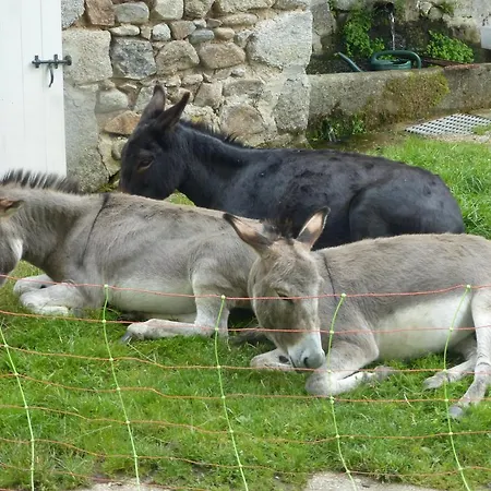 Le Moulin Gitenay - Gite 3* Clermont-Ferrand